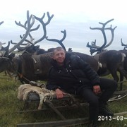  ,   , 59 ,   