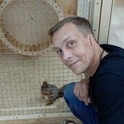 ���������� ���, ���� ������� �����, 43 ����, ������������ ��� ������, ����� � ���������, c�������� ���������