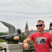 ���������� �������������, ���� ������� ���������, 40 ���, ������������ ��� ������, ����� � ���������