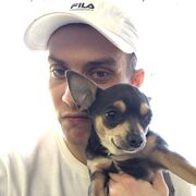 ���������� ���������, ���� ������� ��������, 30 ���, ������������ ��� ������, ����� � ���������