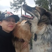 ���������� ������ �����, ���� ������� �������, 49 ���, ������������ ��� ������, ����� � ���������, c�������� ���������, ���������