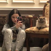 ���������� ������, ���� ������� ������, 29 ���, ������������ ��� ������, ����� � ���������