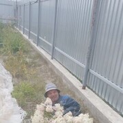 ���������� ������, ���� ������� ��������, 59 ���, ������������ ��� ������, ����� � ���������, c�������� ���������, ���������