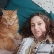 ���������� �����, ���� ������� ����, 40 ���, ������������ ��� c�������� ���������