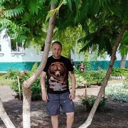  ,   , 41 ,   ,   
