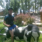 ���������� ���������, ���� ������� �9883161358�, 37 ���, ������������ ��� ������