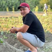 ���������� �������, ���� ������� ����, 33 ����, ������������ ��� ������, ����� � ���������