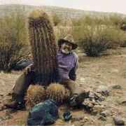 ���������� ���������, ���� ������� �����, 39 ���, ������������ ��� ������, ����� � ���������