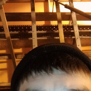 ���������� ��������, ���� ������� �����, 39 ���, ������������ ��� ������, ����� � ���������, c�������� ���������