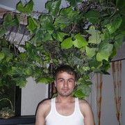 ���������� �������, ���� ������� ������, 43 ����, ������������ ��� ������