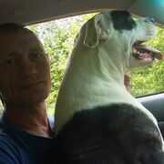 ���������� ���������, ���� ������� ��������, 52 ����, ������������ ��� ������, ����� � ���������, c�������� ���������, ���������