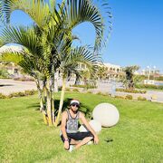 ���������� ������, ���� ������� ������, 31 ���, ������������ ��� ������, ����� � ���������