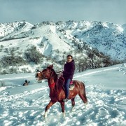  ,   BotirBoy, 30 ,     , c 