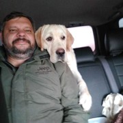  ,   , 48 ,  