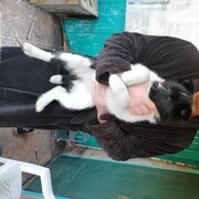  ,   , 61 ,   ,   
