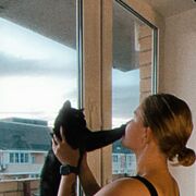 ���������� ���������, ���� ������� ���, 24 ����, ������������ ��� ������, ����� � ���������