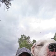  ,   , 46 ,   ,   , c 