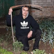 ���������� ������, ���� ������� Nord, 35 ���, ������������ ��� ������, ����� � ���������, c�������� ���������