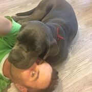 ���������� �����, ���� ������� �������, 45 ���, ������������ ��� ������, ����� � ���������, c�������� ���������, ���������