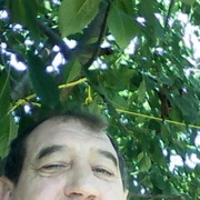 ,   , 55 ,     , c 
