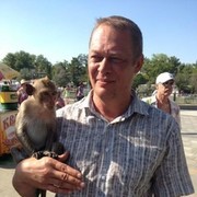  ,   , 51 ,   