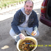  ,   , 55 ,     , c 