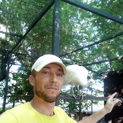 ���������� ��������, ���� ������� �������, 40 ���, ������������ ��� ������, ����� � ���������, c�������� ���������