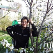 ���������� ������������, ���� ������� ������, 45 ���, ������������ ��� c�������� ���������