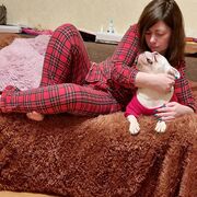 ���������� �����-���������, ���� ������� ���������, 41 ���, ������������ ��� ������, ����� � ���������, c�������� ���������