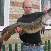 ,  oleg, 42