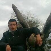 ���������� ���������, ���� ������� ������, 40 ���, ������������ ��� c�������� ���������