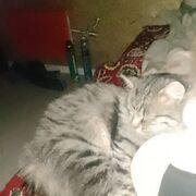  ,   , 35 ,   ,   , c , 