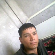  ,  qilichmedia, 33
