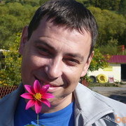  ,   , 51 ,   