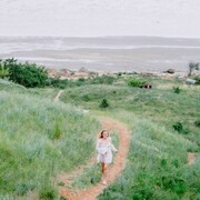 ���������� ��������, ����