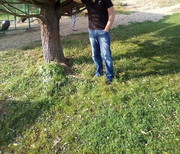 ���������� ������, ���� ������� �������, 40 ���, ������������ ��� ������, ����� � ���������, c�������� ���������