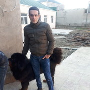  ,   Elnur, 38 ,   ,   , c 