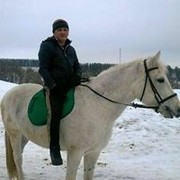  ,   BEK, 40 ,   ,   , c , 