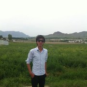  ,   Max, 34 ,   , 
