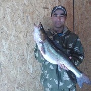  ,   , 38 ,     , c 