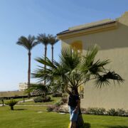 ���������� ����������, ���� ������� ����, 57 ���, ������������ ��� ������, ����� � ���������, c�������� ���������