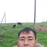  ,   , 37 ,   ,   , c 