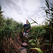 ���������� ������, ���� ������� �������, 29 ���, ������������ ��� ������, ����� � ���������