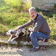  ,   , 54 ,  