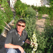  ,  shama, 55