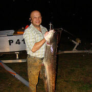 ���������� �����, ���� ������� �������, 48 ���, ������������ ��� ������, ����� � ���������, c�������� ���������