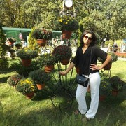 ���������� �������, ���� ������� �������, 37 ���, ������������ 