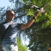  -,   , 41 ,   ,   , c 