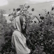 ���������� ������, ��������