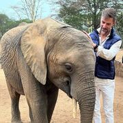 ���������� ������, ���� ������� ������, 41 ���, ������������ ��� ������, ����� � ���������, c�������� ���������, ���������